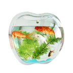 Wall Planter for Home Decor